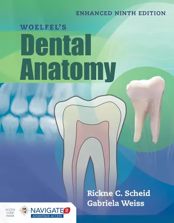 Cover of Woelfels Dental Anatomy 9 ed