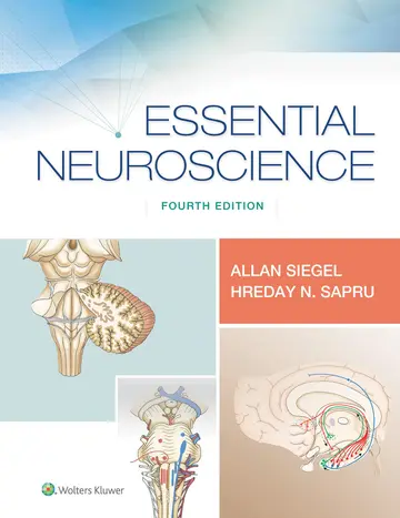 Cover of Essential Neuroscience 4Ed