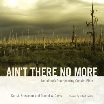 Cover of Ain't There No More
