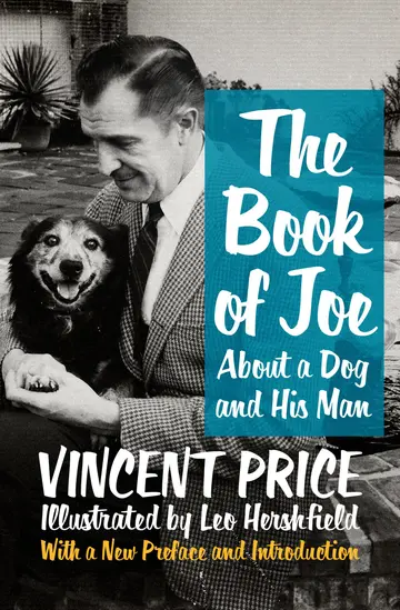 Cover of The Book of Joe
