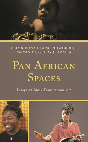 Cover of Pan African Spaces