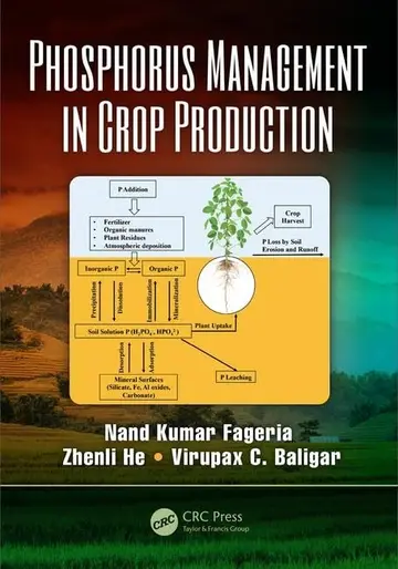 Cover of Phosphorus Management in Crop Production