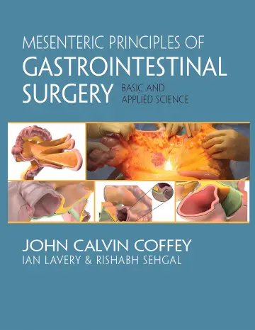 Cover of Mesenteric Principles of Gastrointestinal Surgery Basic and Applied Science