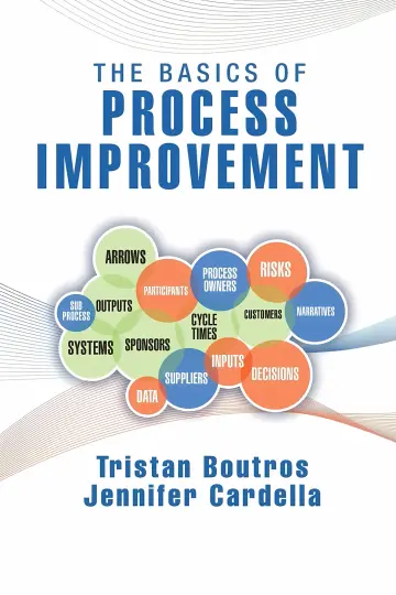 Cover of The Basics of Process Improvement