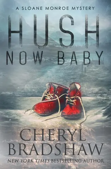 Cover of Hush Now Baby