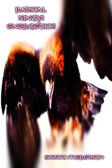 Cover of Radical Xingyi Energetics