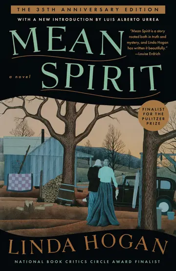 Cover of Mean Spirit