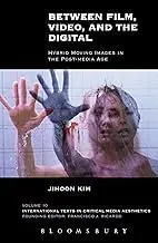 Cover of Between Film, Video, and the Digital Hybrid Moving Images in the Post-Media Age