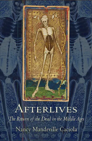 Cover of Afterlives