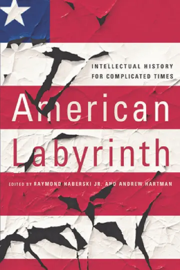 Cover of American Labyrinth