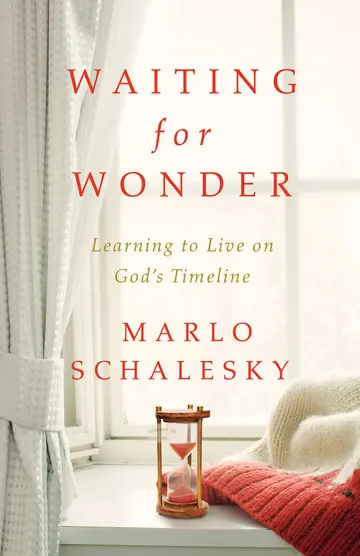 Cover of Waiting for Wonder