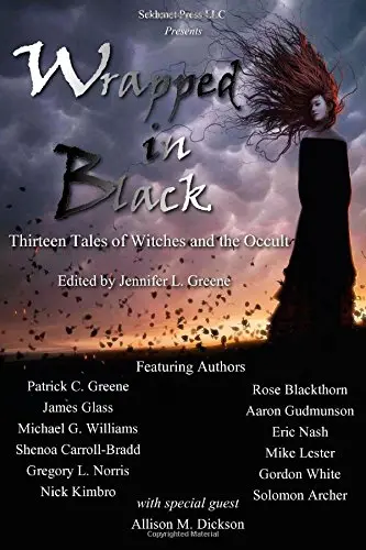 Cover of Wrapped in Black