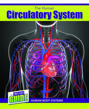 Cover of The Human Circulatory System