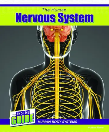 Cover of The Human Nervous System