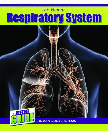 Cover of The Human Respiratory System