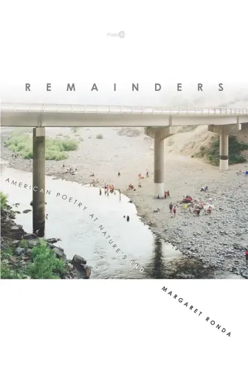 Cover of Remainders