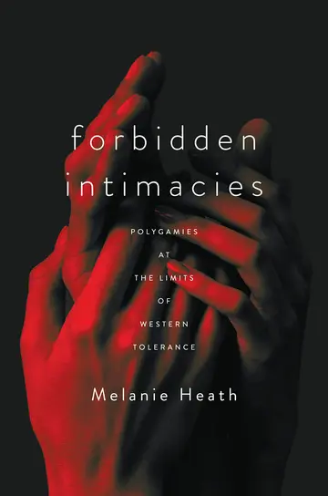 Cover of Forbidden Intimacies