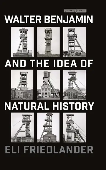Cover of Walter Benjamin and the Idea of Natural History