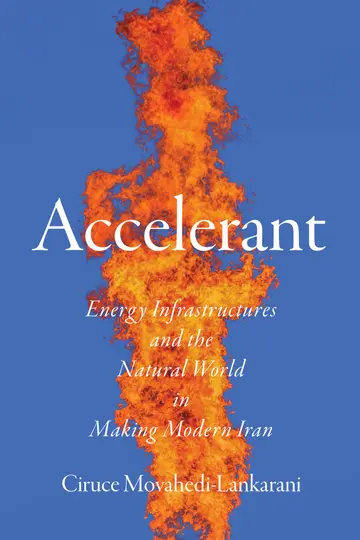 Cover of Accelerant
