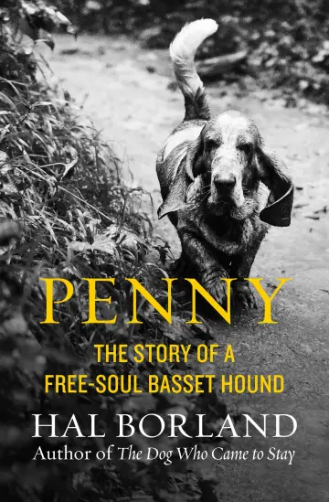 Cover of Penny