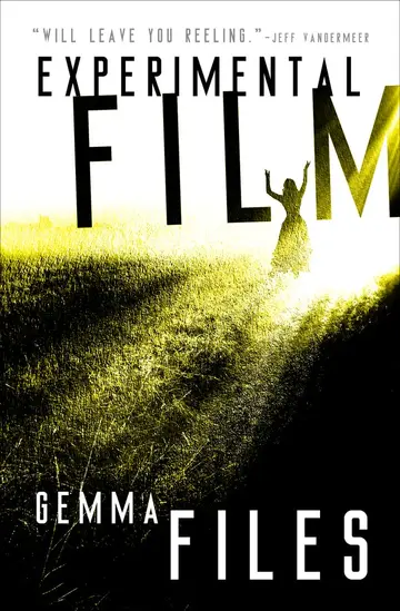 Cover of Experimental Film