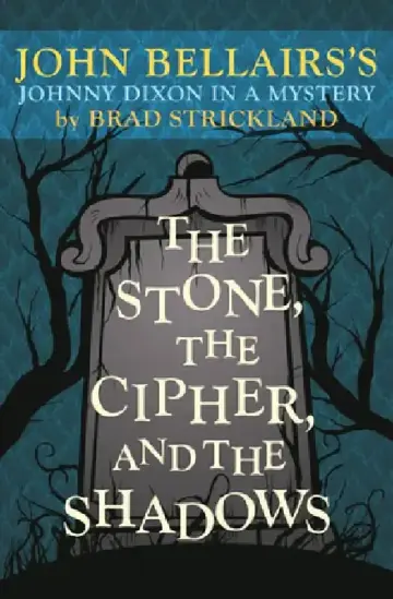 Cover of The Stone, the Cipher, and the Shadows