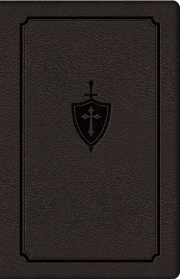 Cover of Manual for Conquering Deadly Sin