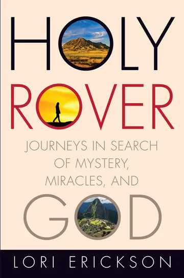 Cover of Holy Rover