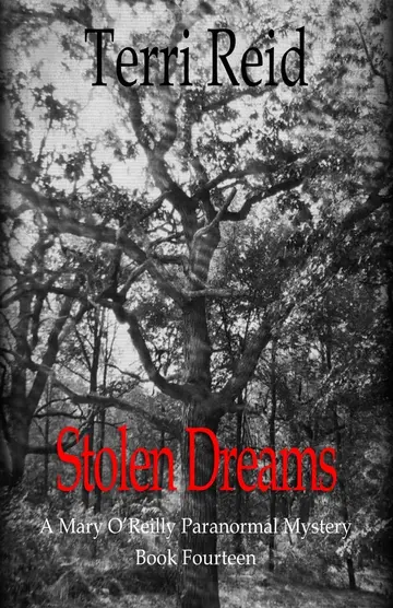 Cover of Stolen Dreams - A Mary O'Reilly Paranormal Mystery - Book Fourteen