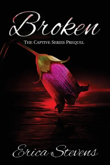 Cover of Broken