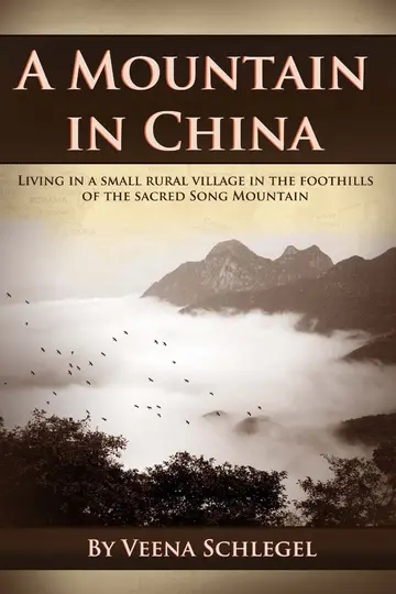 Cover of A Mountain in China