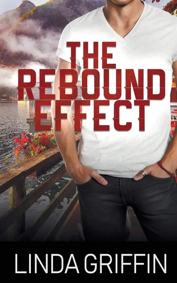 Cover of The Rebound Effect
