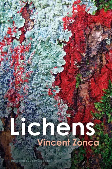 Cover of Lichens - Toward a Minimal Resistance