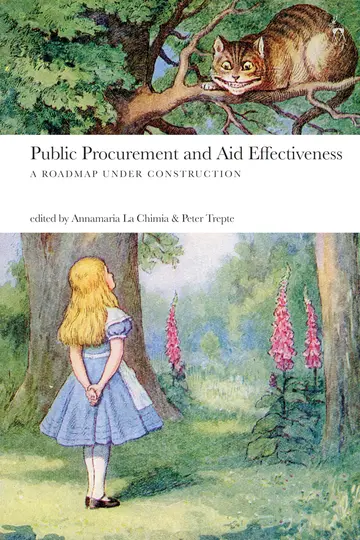 Cover of Public Procurement and Aid Effectiveness