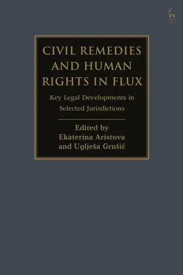 Cover of Civil Remedies and Human Rights in Flux
