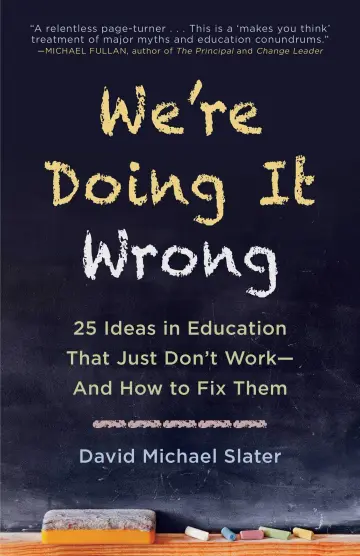 Cover of We're Doing It Wrong