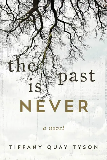Cover of The Past Is Never