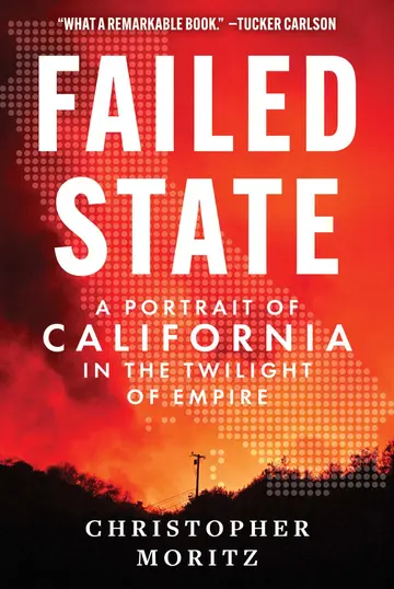 Cover of Failed State