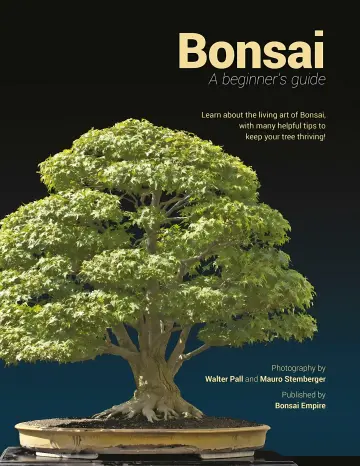 Cover of Bonsai