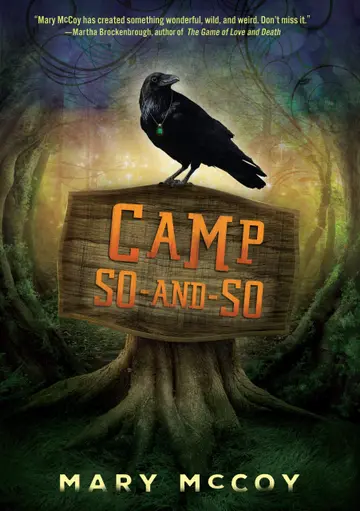 Cover of Camp So-And-So