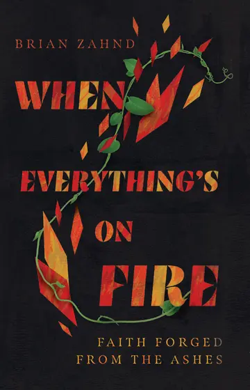 Cover of When Everything`s on Fire - Faith Forged from the Ashes