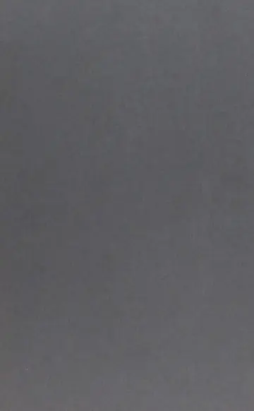 Cover of Outsider Theory