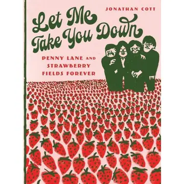 Cover of Let Me Take You Down