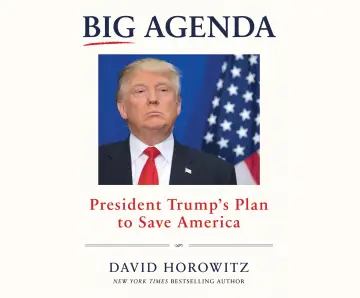 Cover of Big Agenda