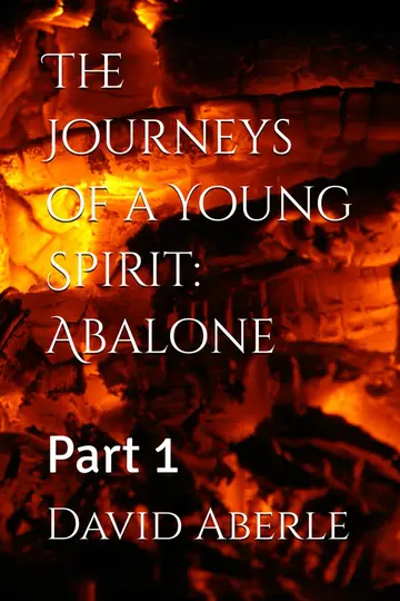 Cover of The Journeys of a Young Spirit
