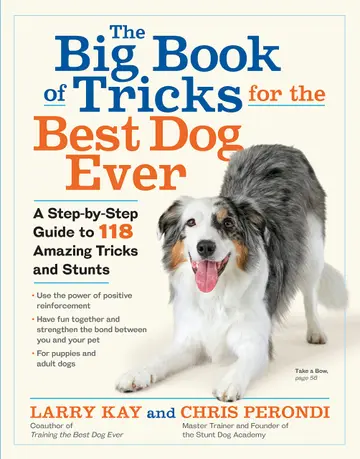 Cover of The Big Book of Tricks for the Best Dog Ever