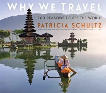 Cover of Why We Travel