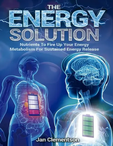 Cover of The Energy Solution