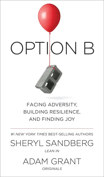 Cover of Option B