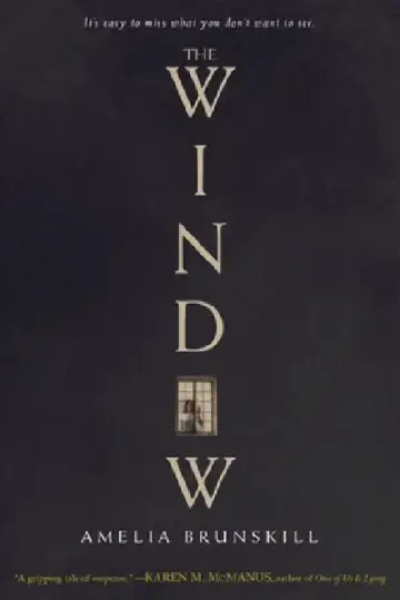 Cover of The Window